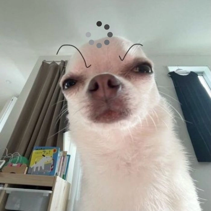 Meme chó loading với mặt hài