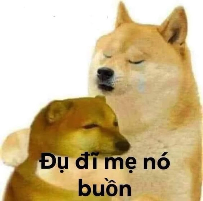 Meme chó nhắm mắt siêu lầy