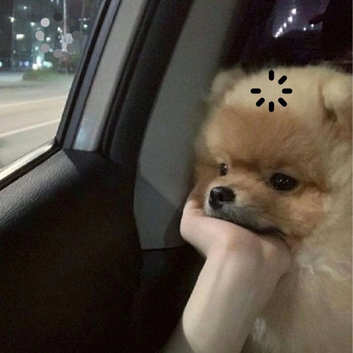Meme con chó đang loading buồn cười