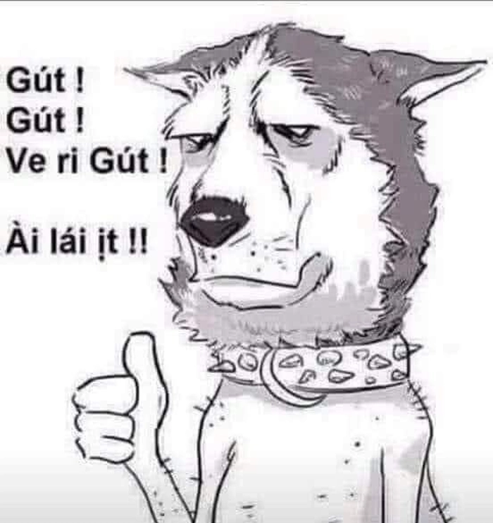 Meme con chó like đáng yêu