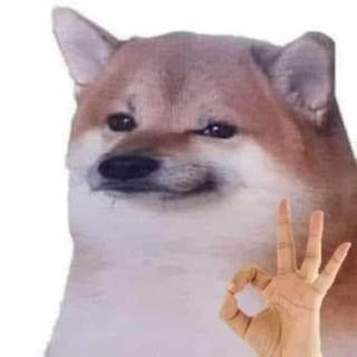 Meme con chó like vui vẻ