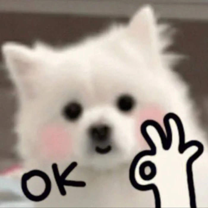 Meme con chó trắng vui tươi