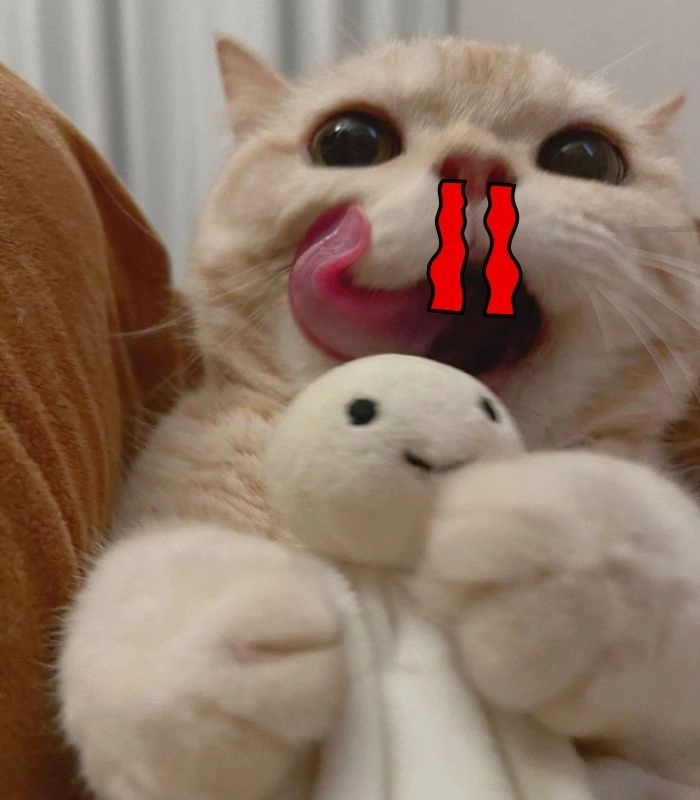 Meme con mèo chảy máu mũi bá đạo