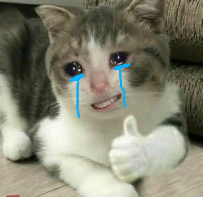 Meme con mèo khóc like đáng yêu