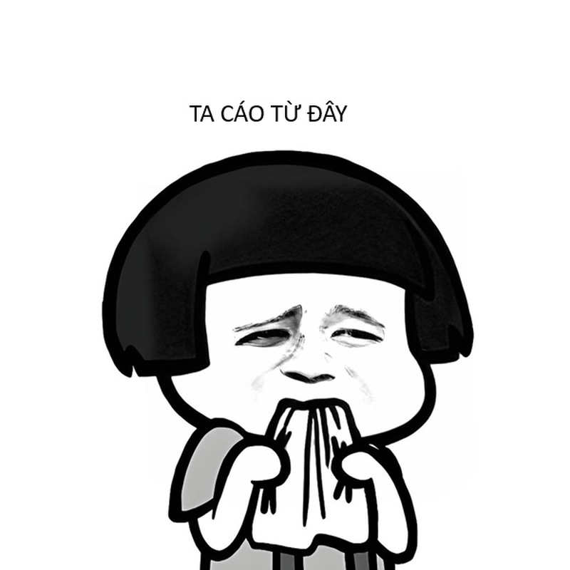 Meme gấu trúc cáo từ trend