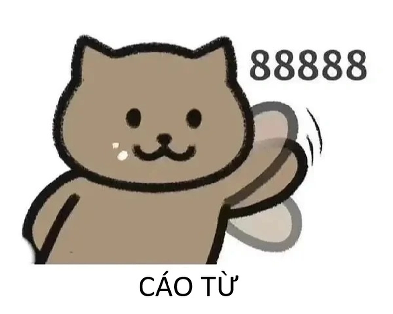 Meme gấu trúc cáo từ vui