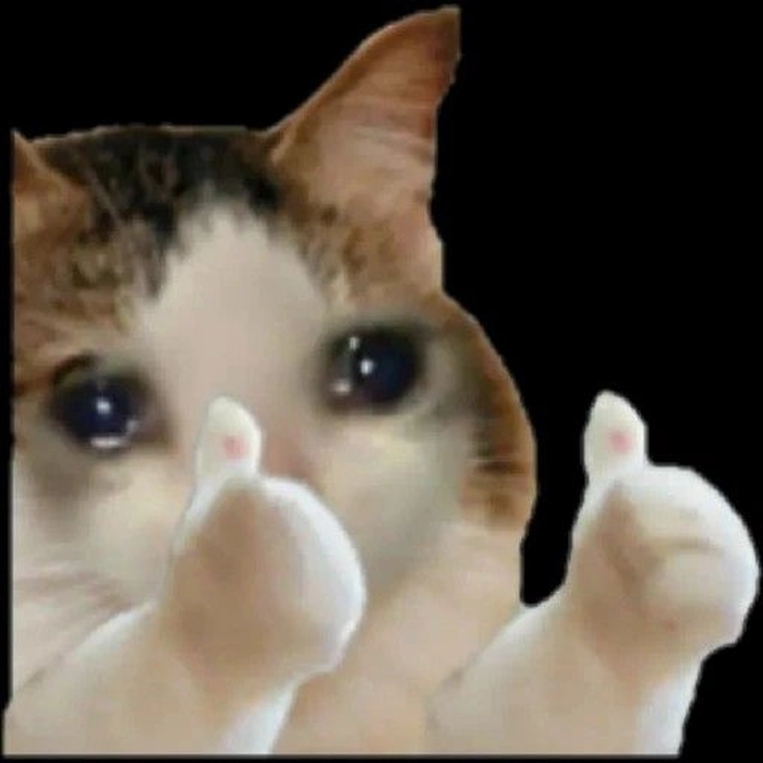 Meme mèo khóc like đáng yêu