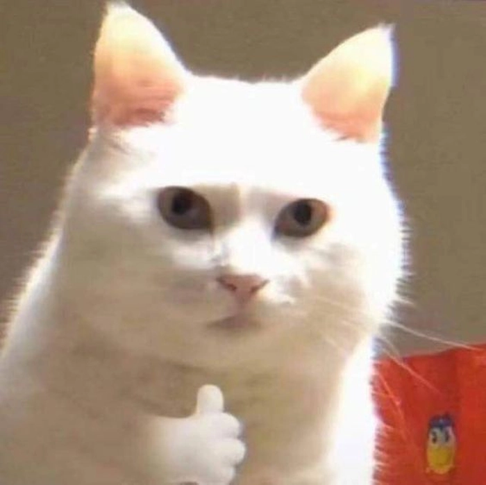 Meme mèo like cực ngáo