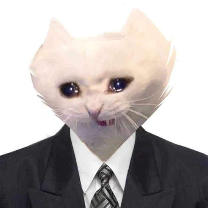 Meme mèo mặc vest cực hài