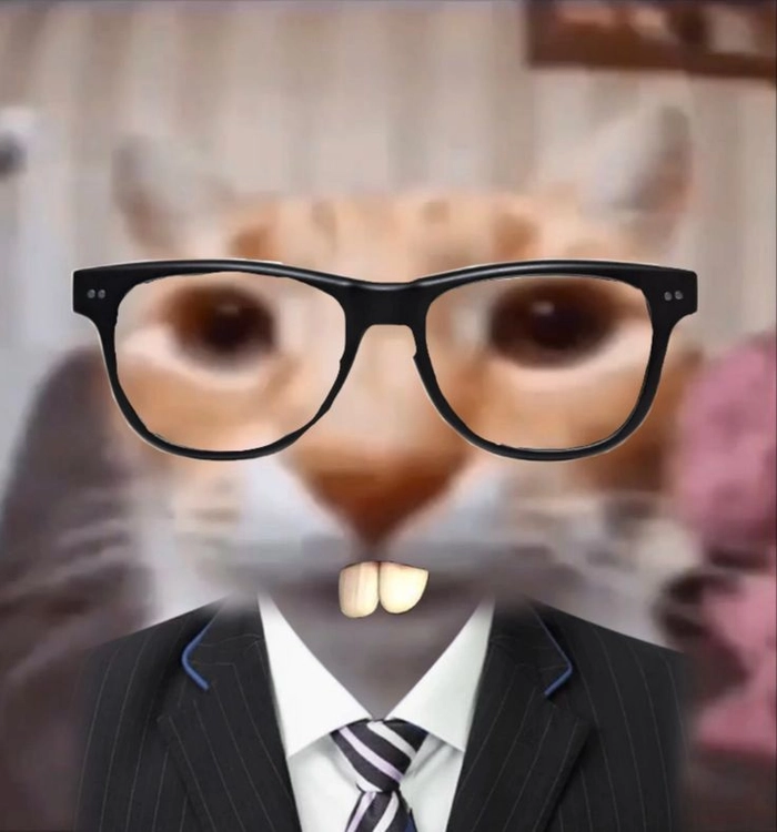 Meme mèo mặc vest đáng yêu cực