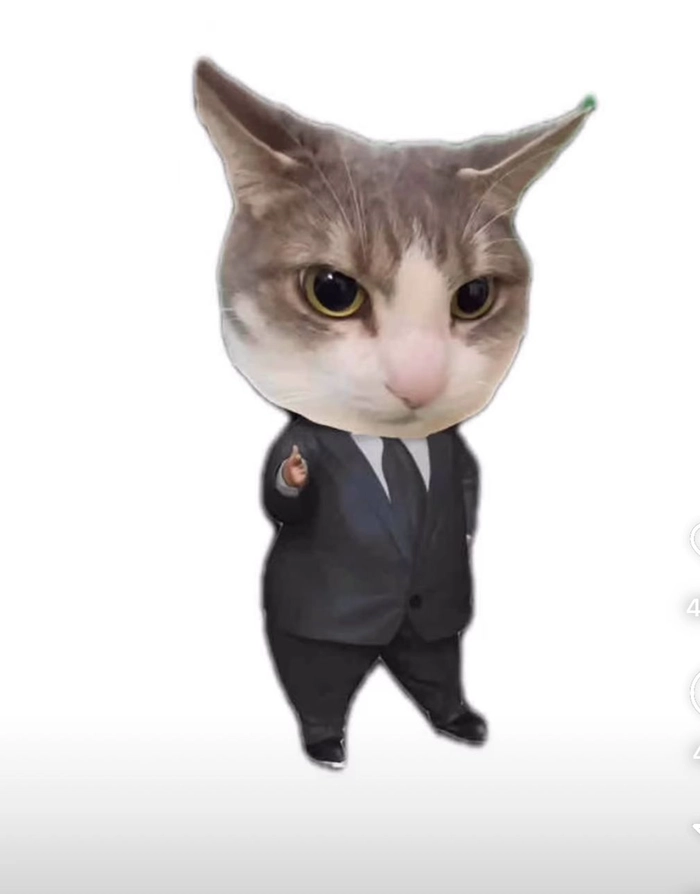 Meme mèo mặc vest dễ thương siêu cute