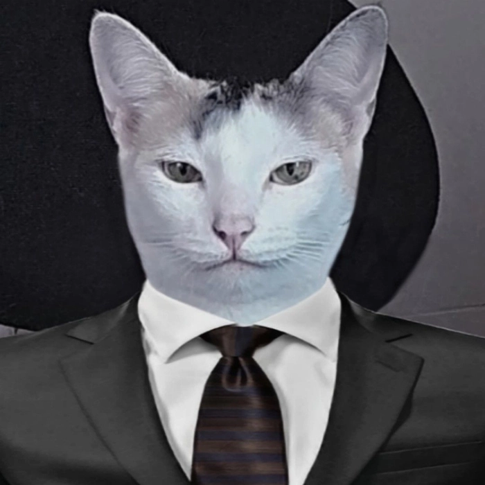 Meme mèo mặc vest hài nhẹ nhàng