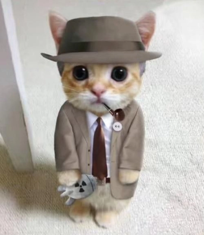 Mèo mặc vest meme ngầu lòi