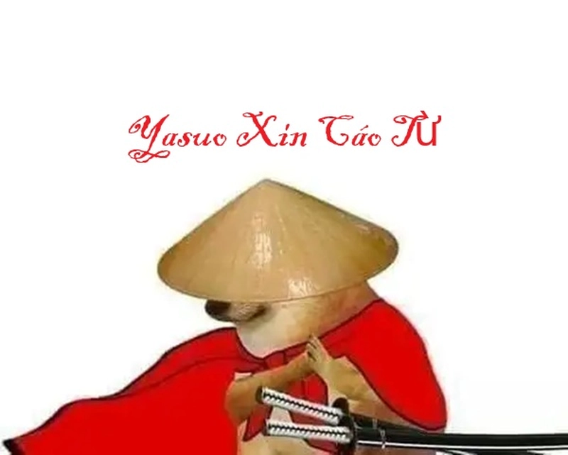 Xin cáo từ meme ngộ nghĩnh