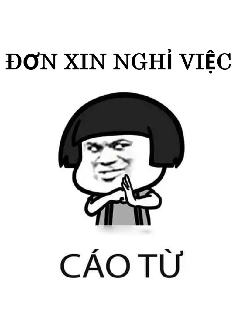 Xin cáo từ meme phổ biến