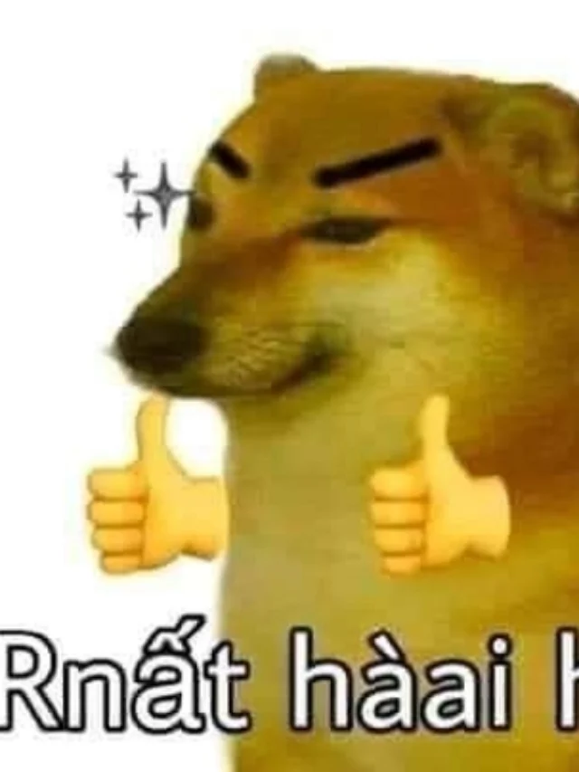 Meme chó like hài hước