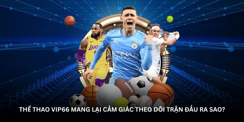 Thể thao Vip66 mang lại cảm giác theo dõi trận đấu ra sao?